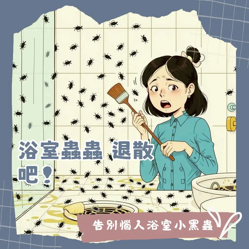浴室小黑蟲防治,清潔排水孔,保持浴室乾燥通風,有效清除蛾蚋與跳蟲