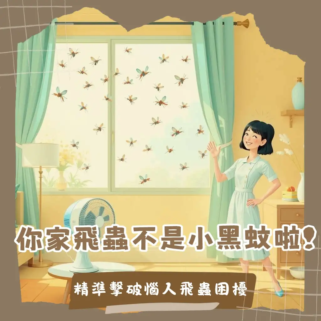 房間小黑蚊困擾解析，教你辨識小黑飛與果蠅，有效消滅室內蟲害，還你居家清淨。